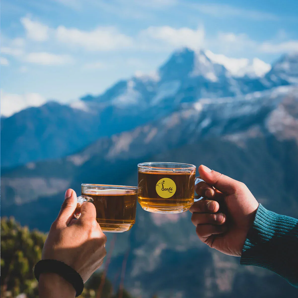 Danfe Tulsi Chamomile Tranquility Herbal Tea (Holy Basil Tea) - Image 9