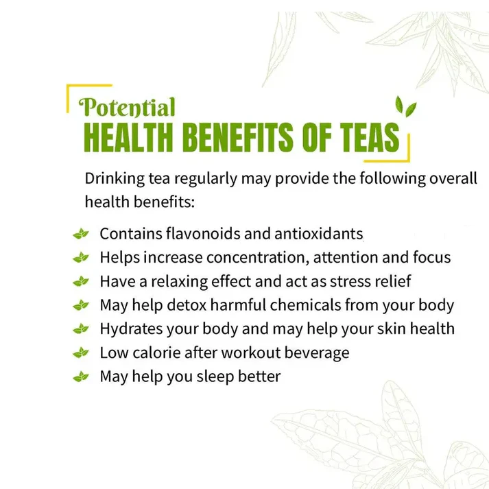 Danfe Himalayan Moringa Tea (Caffeine-Free Superfood Herbal Tea) - Image 6