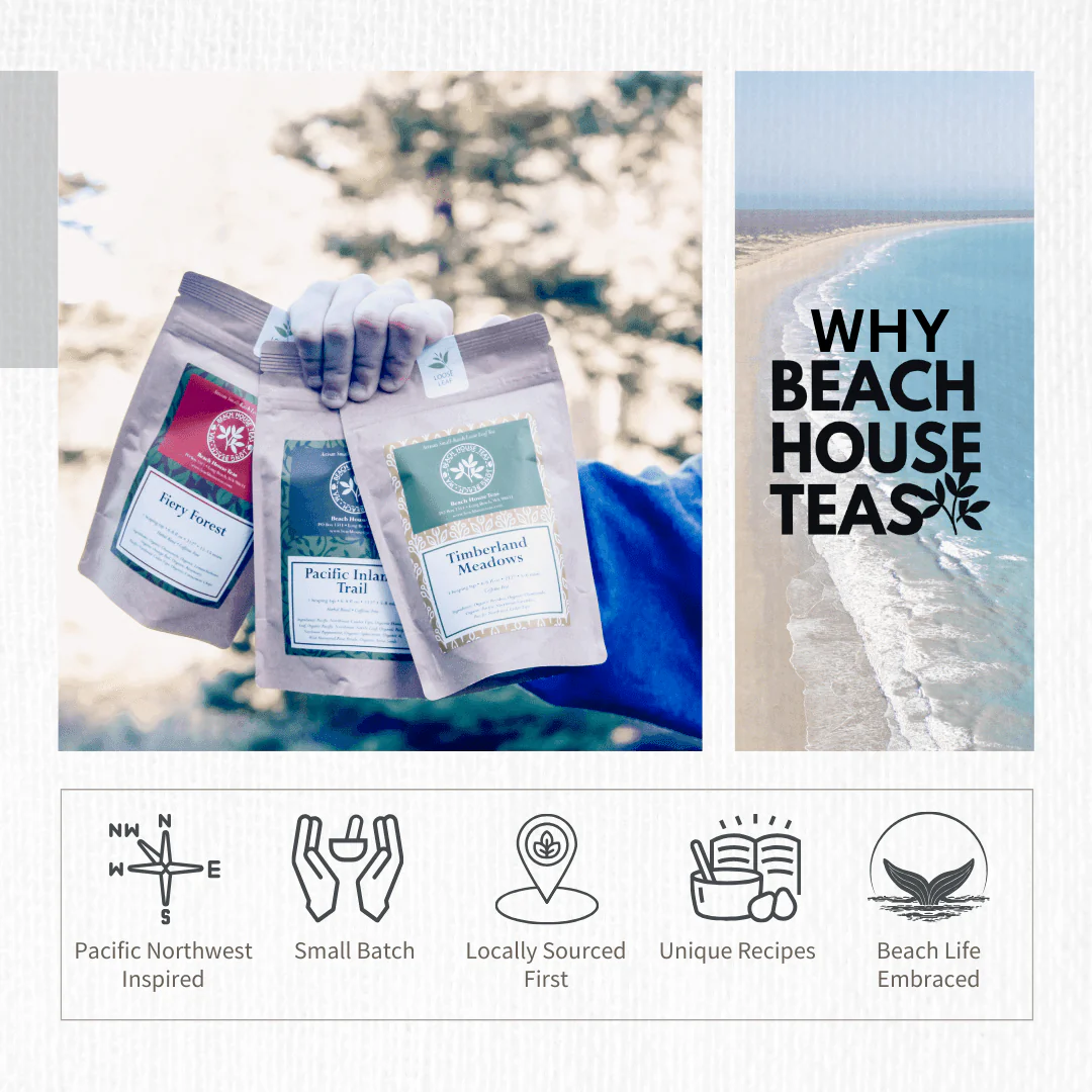 Beach House Boardwalk Zinger Iced Blend - Image 5