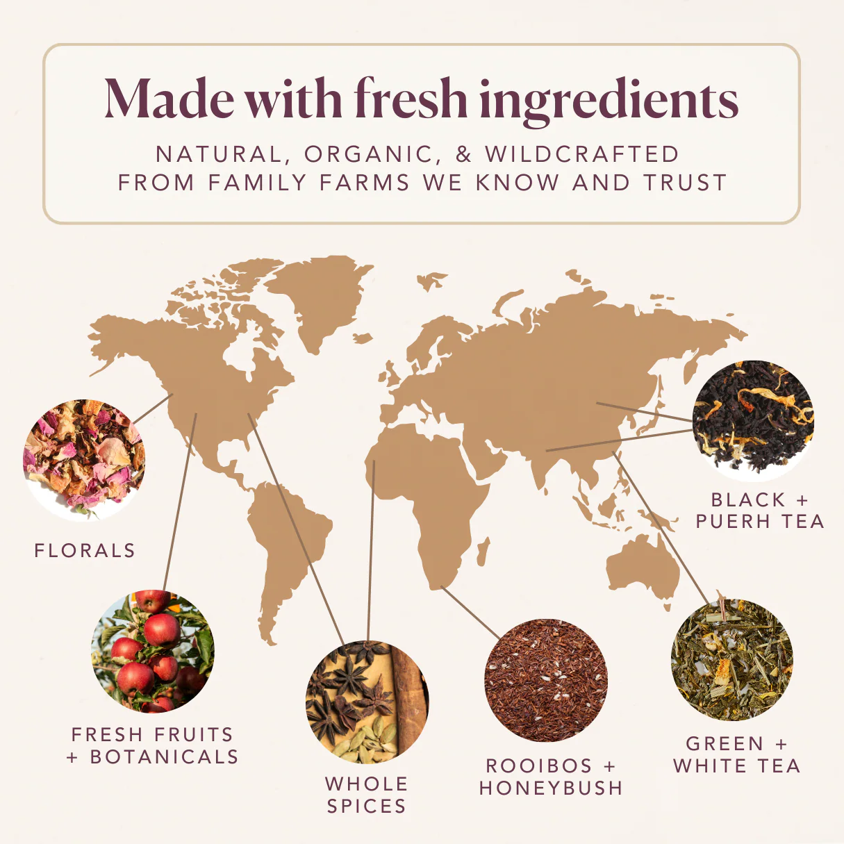 Plum Deluxe Buttery Shortbread Herbal Tea - Image 4