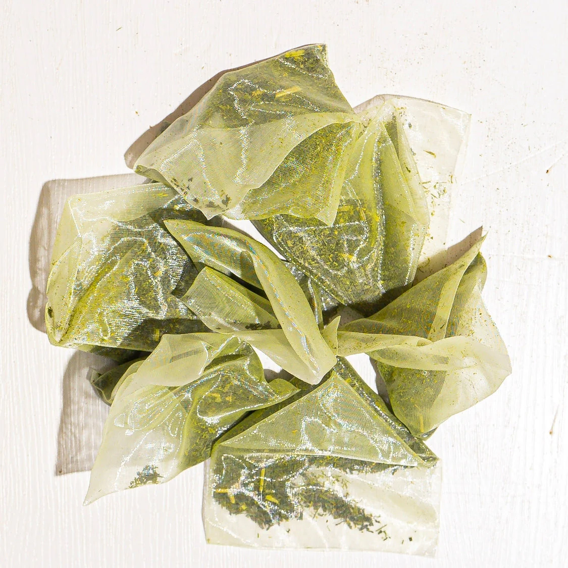 Culinary Teas Cold Brew Mango Green with Matcha