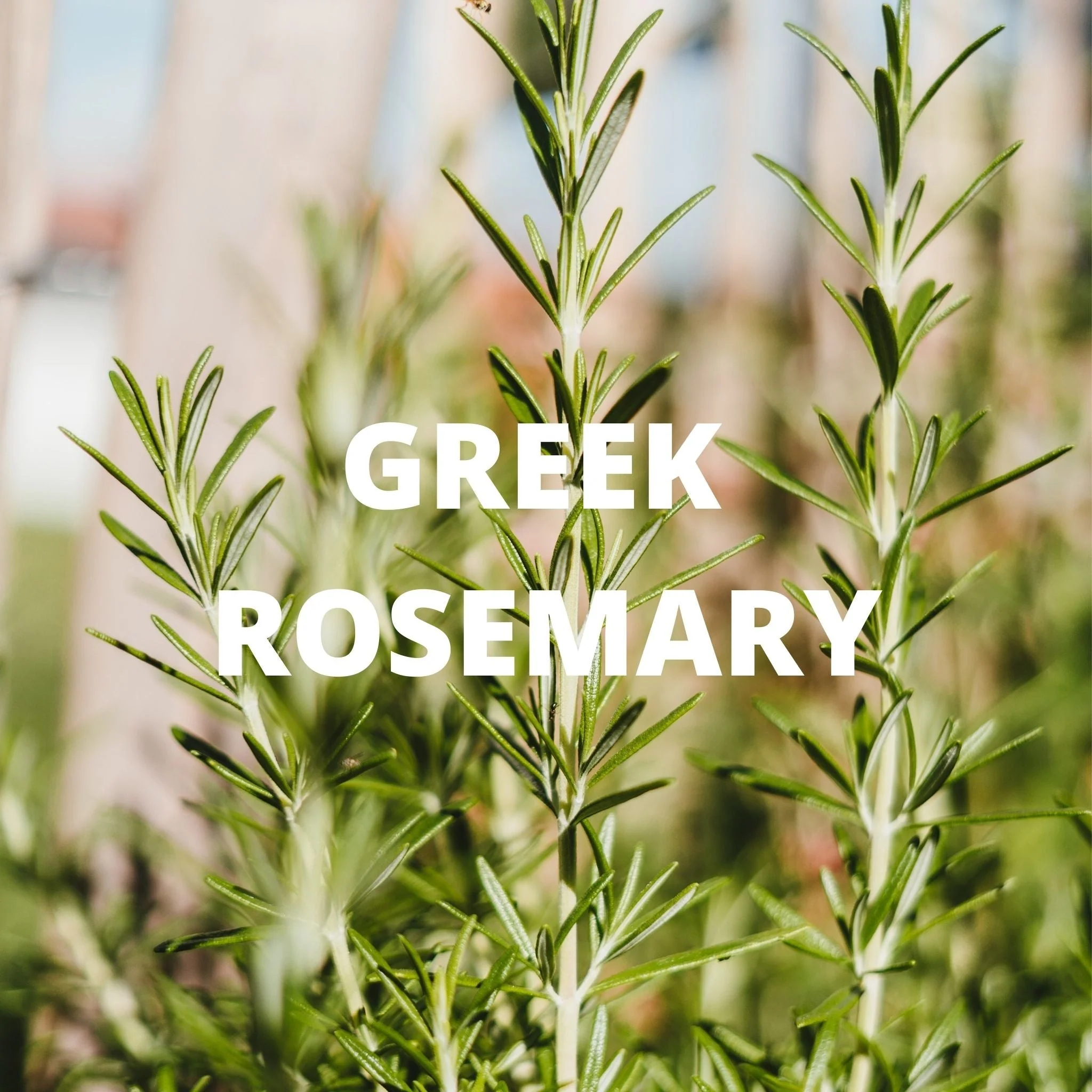 Greek Superherbs Calm Tea - Image 4