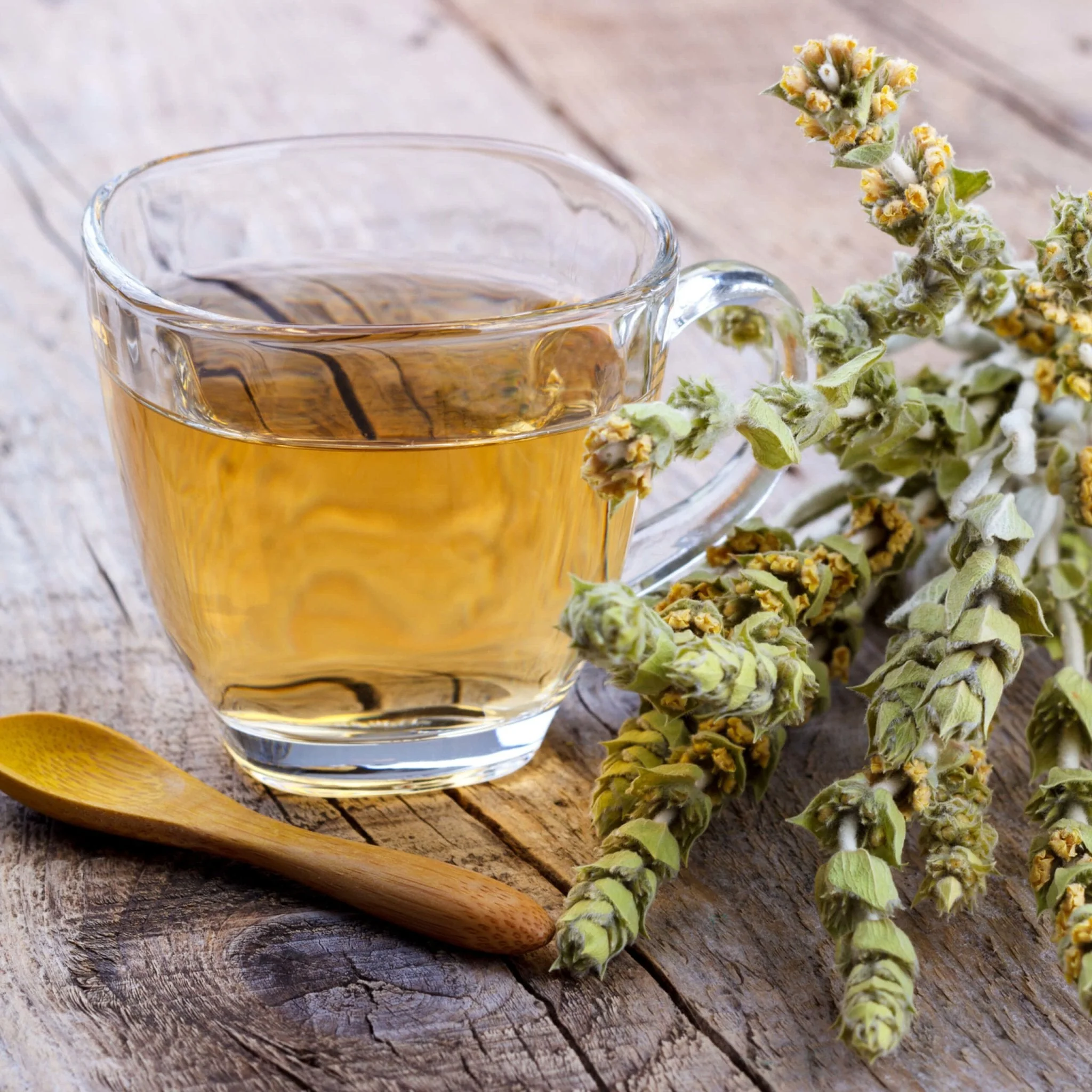 Greek Superherbs Greek Chamomile Tea (Magnesia) - Image 3