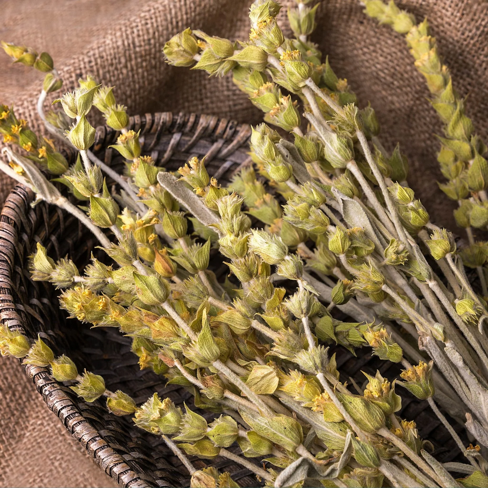 Greek Superherbs Greek Chamomile Tea (Magnesia) - Image 7