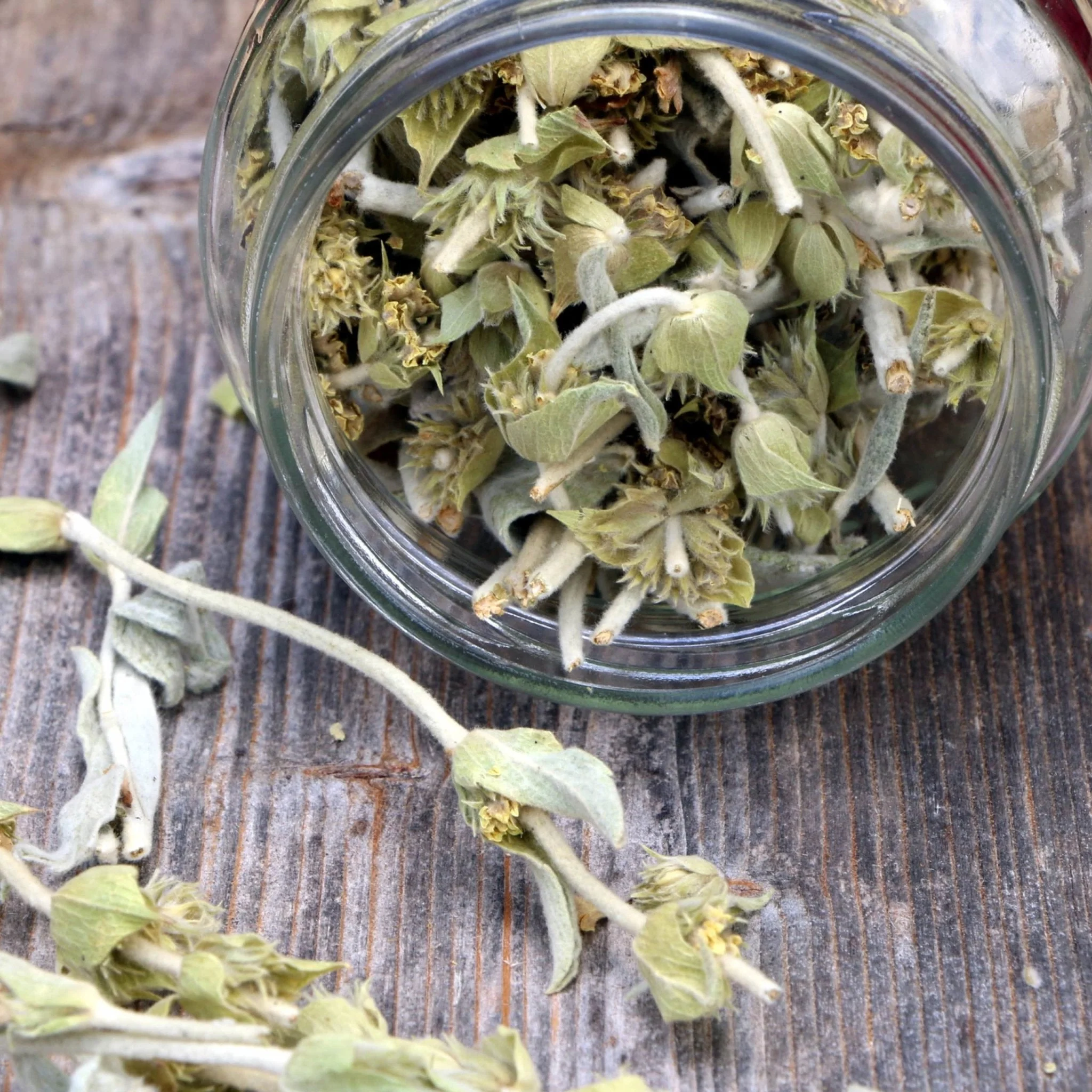 Greek Superherbs Greek Chamomile Tea (Magnesia) - Image 9