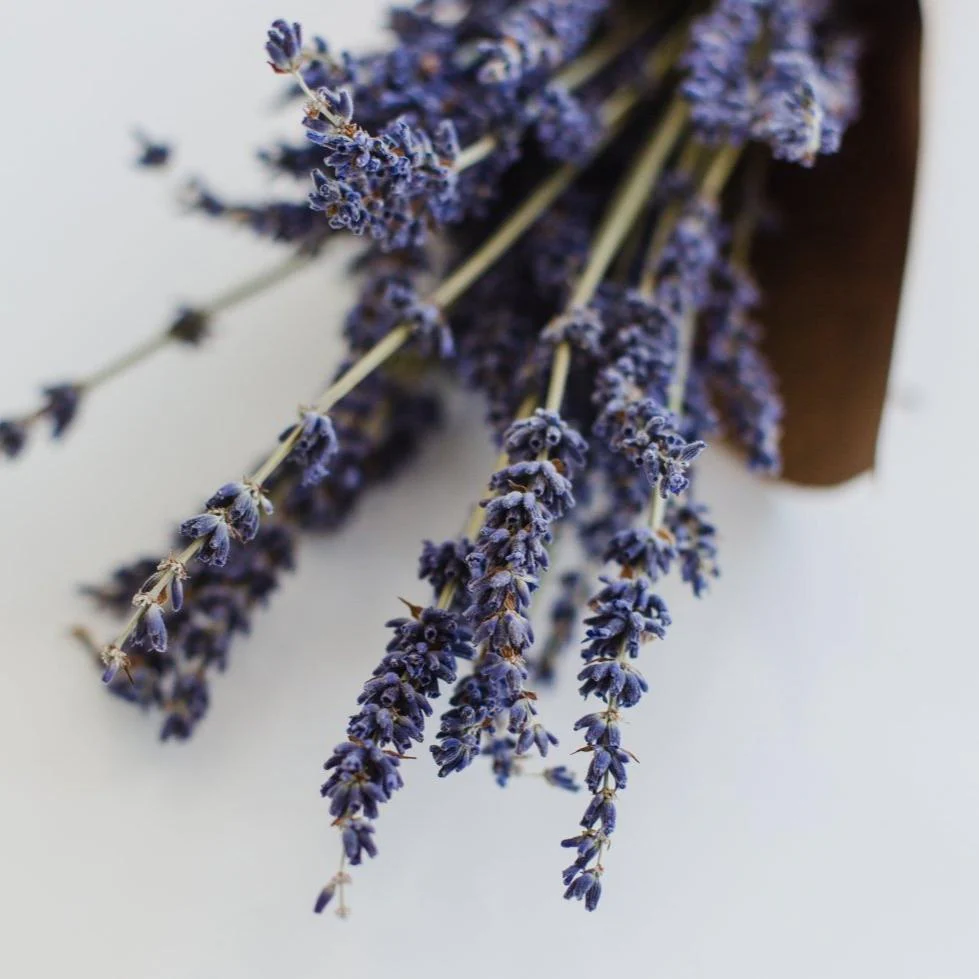Tea with Tae Lavender Earl Grey Pouch - Image 4