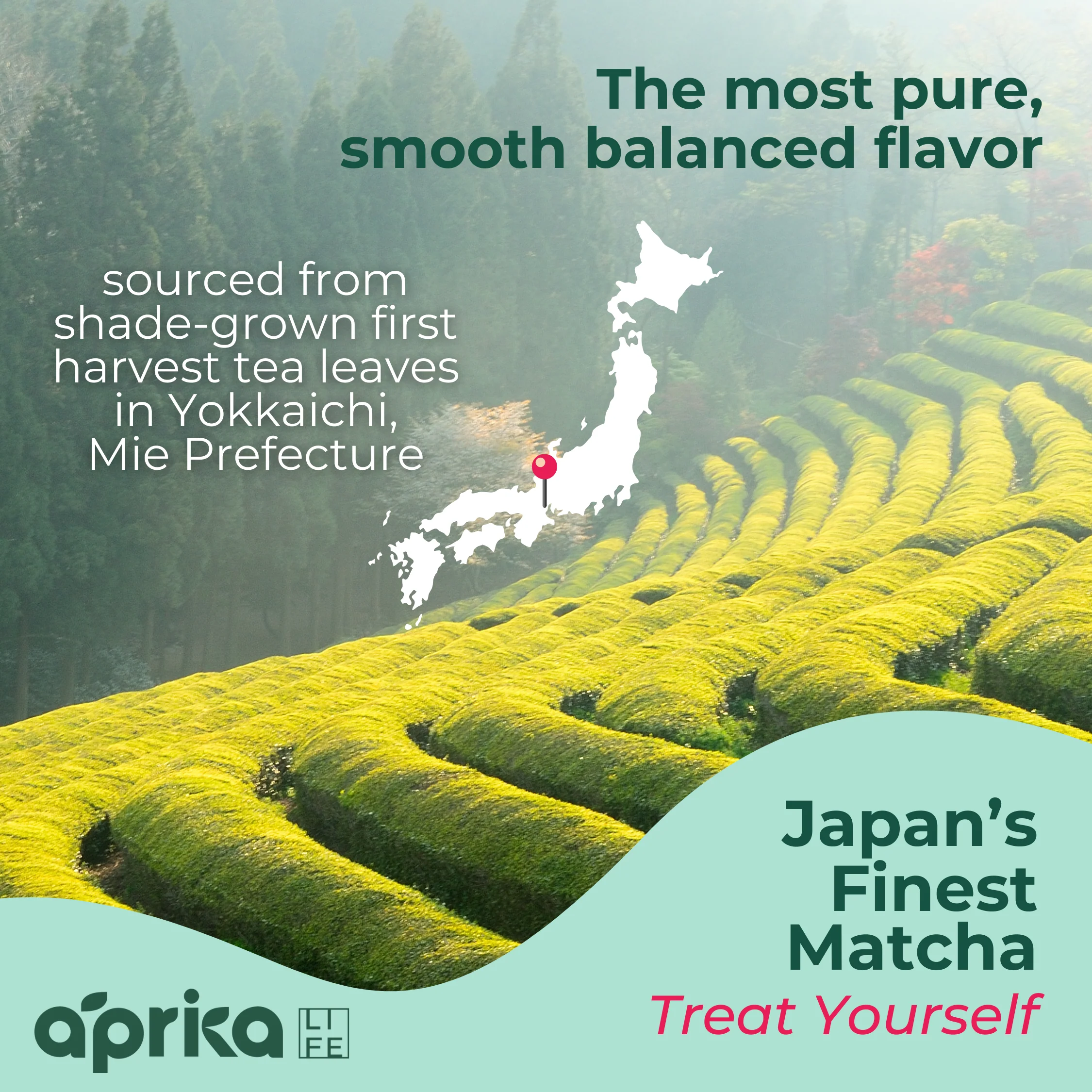 Aprika Life Organic Japanese Ceremonial Grade Matcha Green Tea Powder - Image 5
