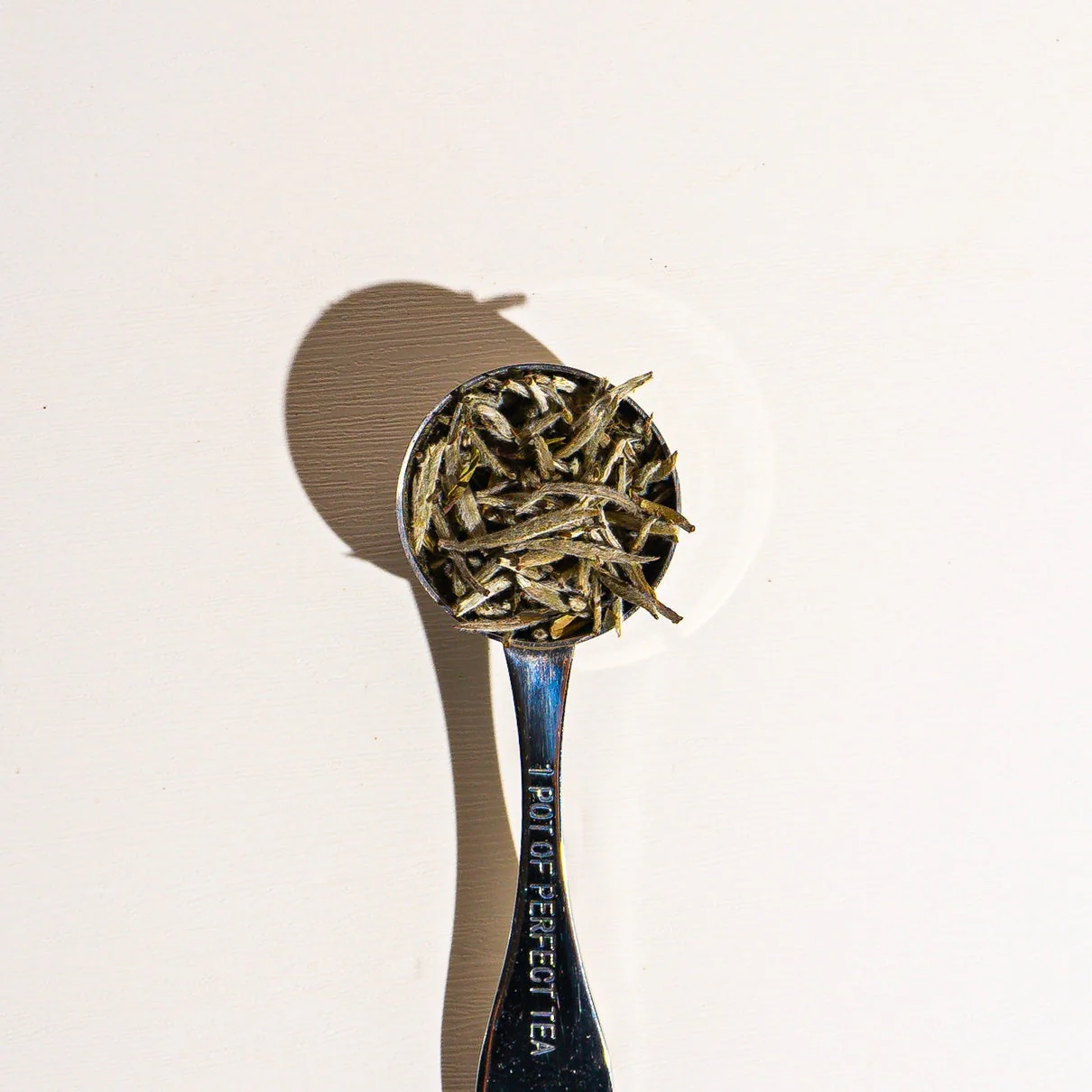 Culinary Teas Peony White Needle - Image 2