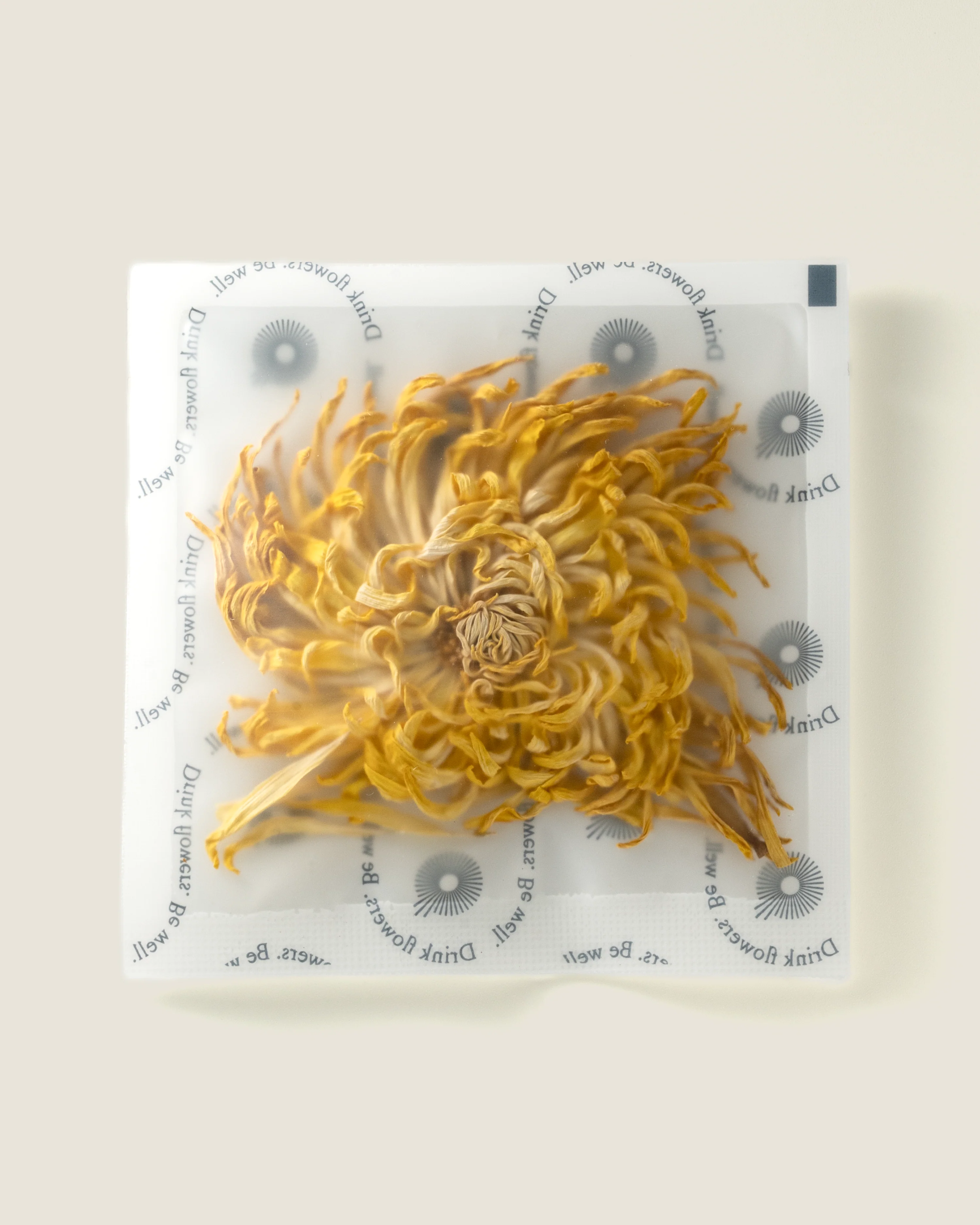 The Qi Royal Chrysanthemum - Image 3