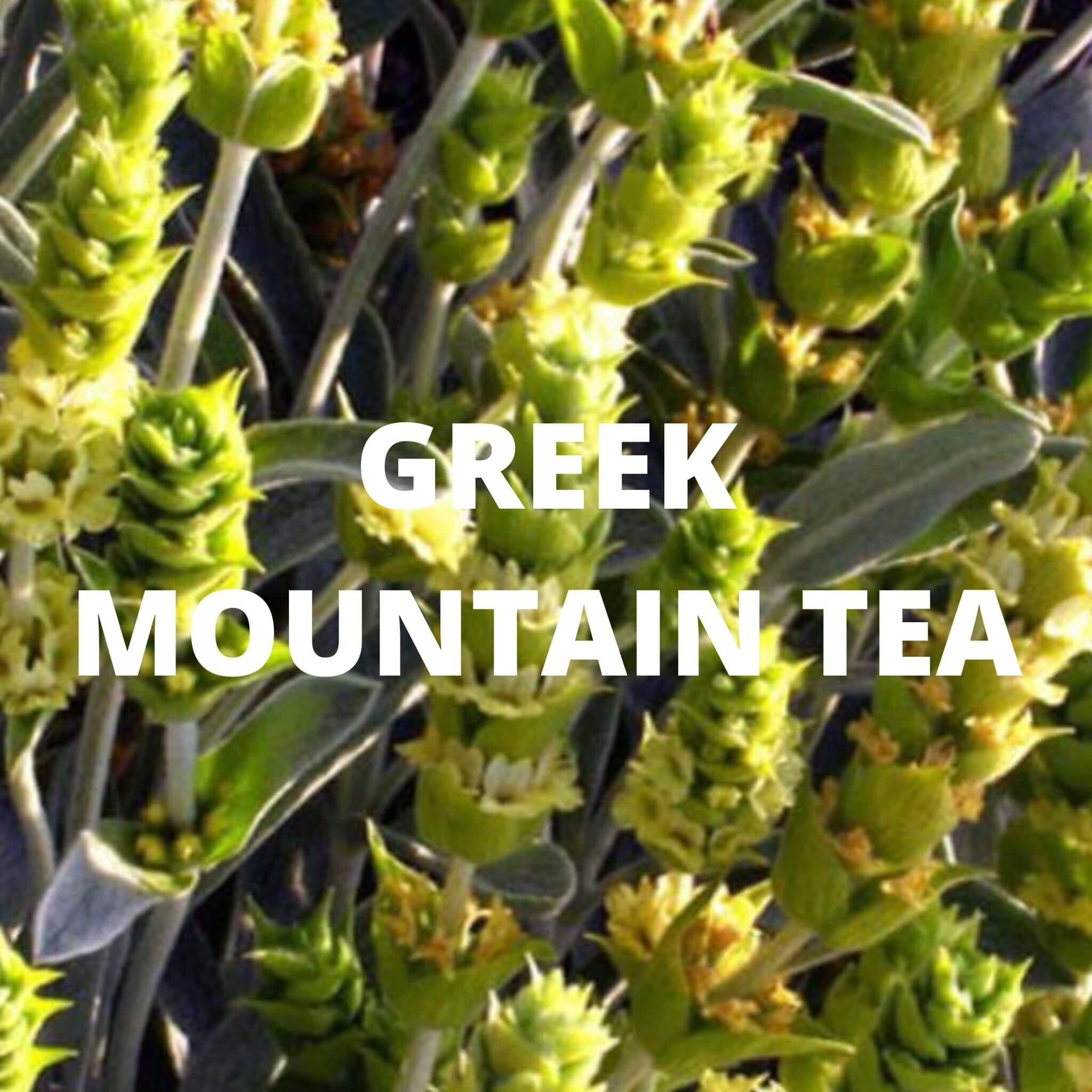 Greek Superherbs Ikaria Tea (Ikaria Blue Zone) - Image 4
