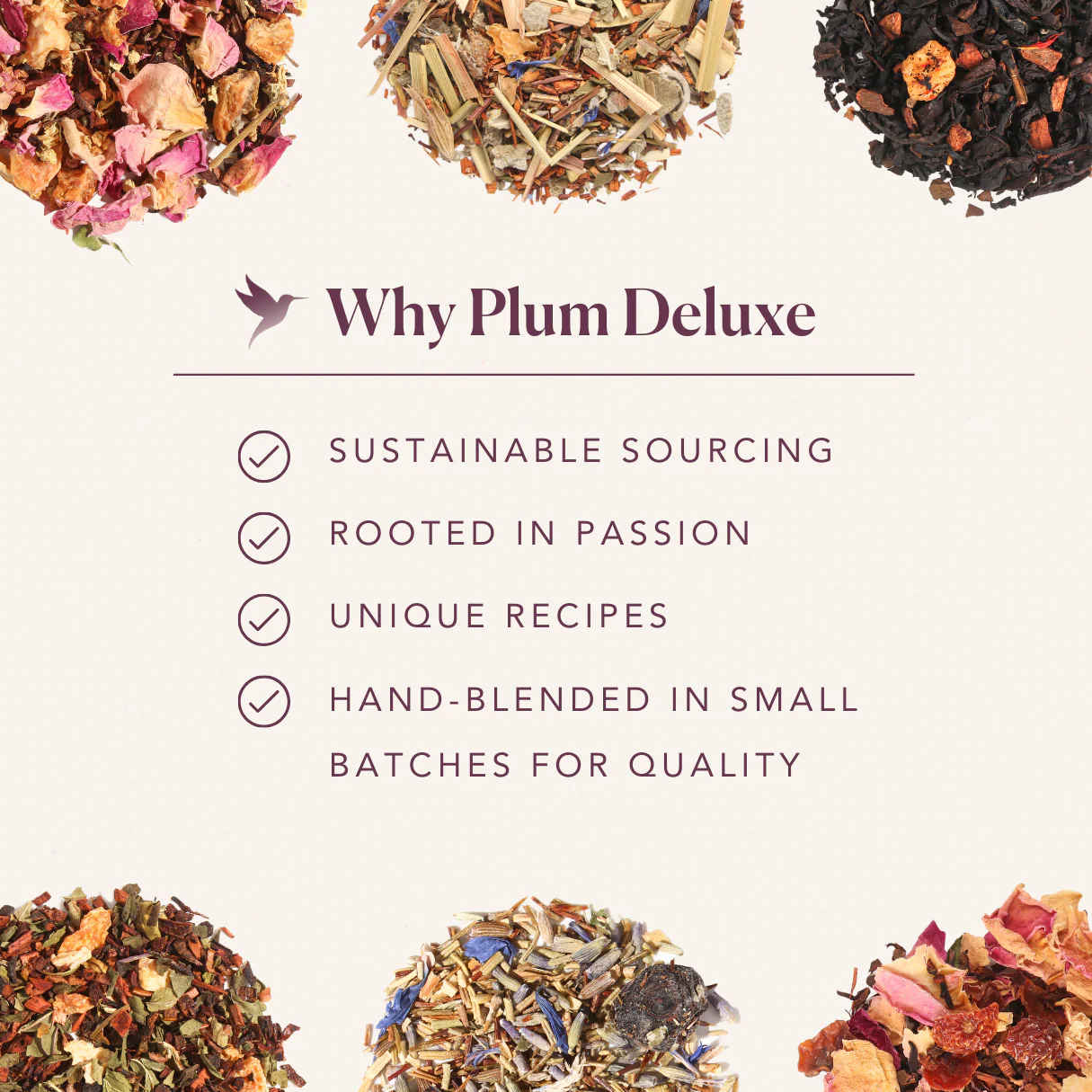 Plum Deluxe Strawberry Immunity Herbal Tea (Berries - Echinacea) - Image 7
